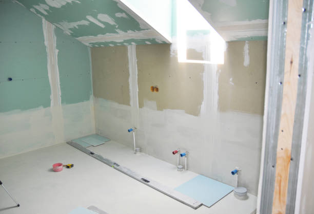 Best Mold Odor Removal Services  in Bronson, MI