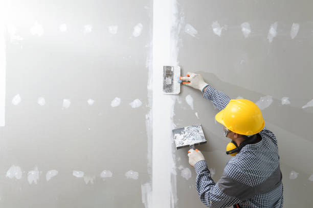 Best Residential Mold Inspection & Testing  in Bronson, MI