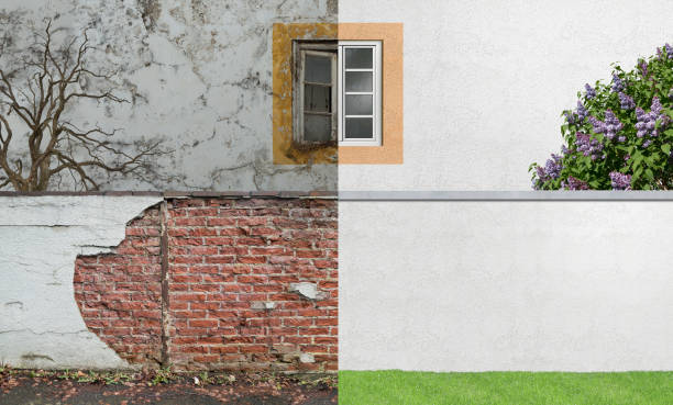 Reliable Bronson, MI Mold Removal Solutions