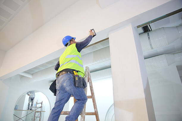 Best Commercial Mold Inspection  in Bronson, MI